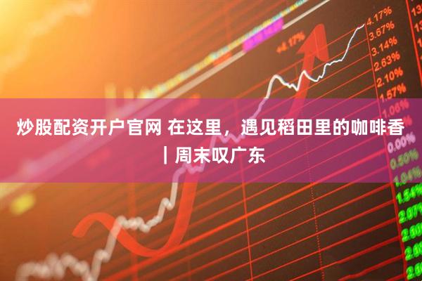 炒股配资开户官网 在这里，遇见稻田里的咖啡香｜周末叹广东
